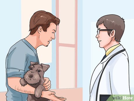 Perro asfixiándose